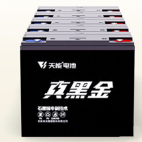 天能 蓄电池 6-EVF-45.6 
