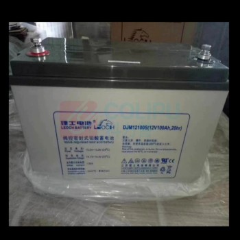 理士 铅酸免维护蓄电池 DJM12100S 12V 100AH 