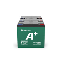 天能 蓄电池 6-DZF-20.2 9w黄光3000k 替换18w灯管 60V20.2AH (黑色)