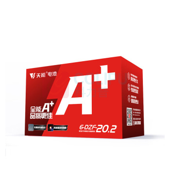 天能 蓄电池 6-DZF-20.2 9w黄光3000k 替换18w灯管 60V20.2AH (黑色)