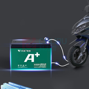 天能 蓄电池 6-DZF-20.2 9w黄光3000k 替换18w灯管 60V20.2AH (黑色)