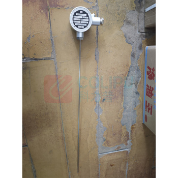 南派克 防爆铠装铂电阻(不含检测) WZPK-143 φ5 L=800 0-300℃