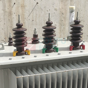 永册 户外互感器 210003 额定容量:315KV