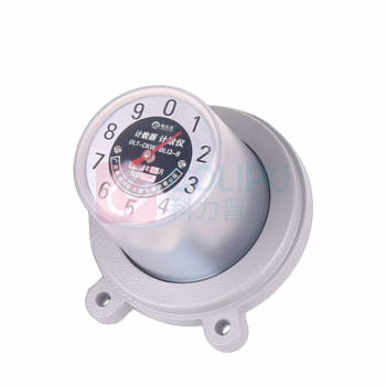 电乐天 计数器 计数仪 DLT-CKW-BLQ-8 电压等级:6-35KV