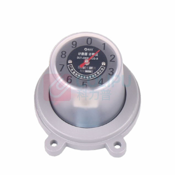 电乐天 计数器 计数仪 DLT-CKW-BLQ-8 电压等级:6-35KV