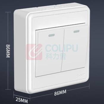 正泰 CHNT 二联单控开关 T1-00300 10AX250V (象牙白)