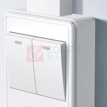 正泰 CHNT 二联单控开关 T1-00300 10AX250V (象牙白)
