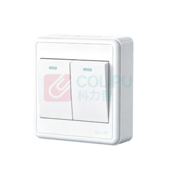 正泰 CHNT 二联单控开关 T1-00300 10AX250V (象牙白)