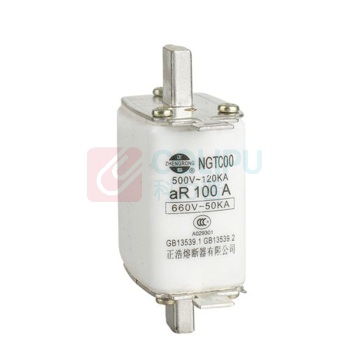 正熔 快速熔断器 NGTC00 RS31