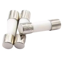 番鑫工贸 陶瓷保险丝管 10*38 20个