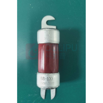 新宇 惯性保险丝熔断器 GB-100A