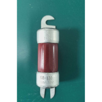 新宇 惯性保险丝熔断器 GB-100A