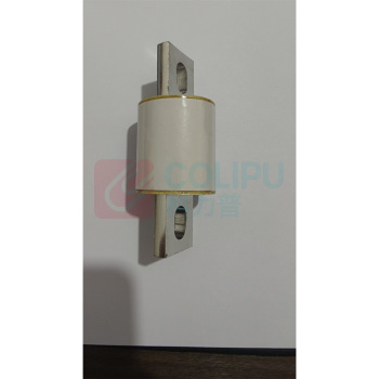 正熔 熔断器 100A