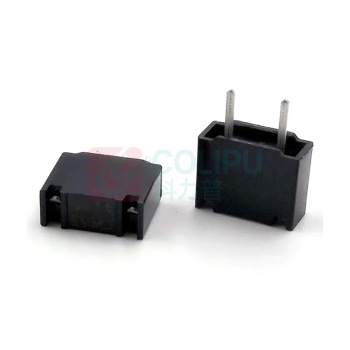FANUC 保险丝 A60L-0001-0290/LM20 黑色大2A 