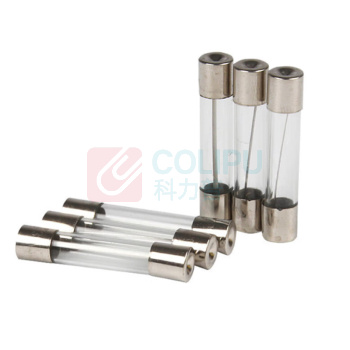极一 慢熔玻璃保险 2A G/5X20