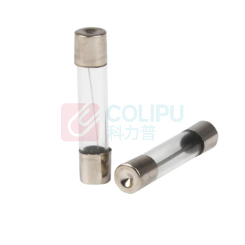 极一 慢熔玻璃保险 2A G/5X20