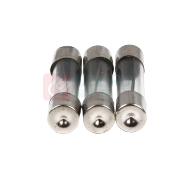 极一 慢熔玻璃保险 2A G/5X20
