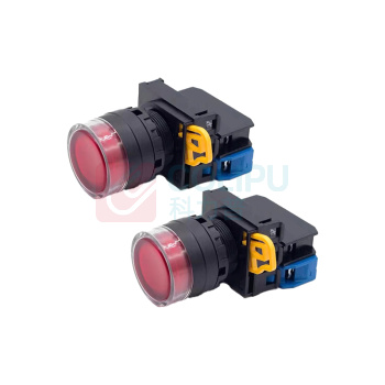 中捷 工业用按钮开关 全保护罩带灯24V自复位 YW1L-MF2E10Q4R 67mm*41mm (红色)