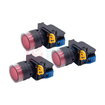 中捷 工业用按钮开关 全保护罩带灯24V自复位 YW1L-MF2E10Q4R 67mm*41mm (红色)