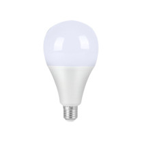 恒盛 LED灯泡 WF205A-12W 12W AC220V 白光/5700K LED (白色)