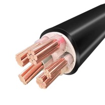 珠江电力 国标工程电力电缆2芯 ZC-YJV 2*16mm 1米价