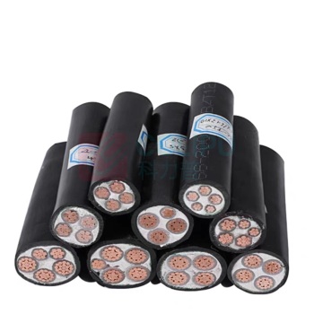 珠江电力 国标工程电力电缆2芯 ZC-YJV 2*35mm 1米价