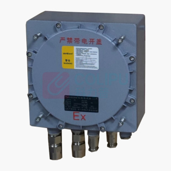 赛普 防爆接线盒10P SEx-db IIC-10P 200*200*130mm 配好2个防爆通头,装好10位端子