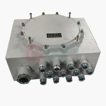 赛普 防爆接线盒20P SEx-db IIC-20P 300*300*130mm 配好2个防爆通头,装好20位端子
