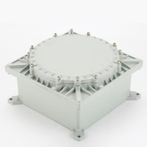 赛普 防爆接线盒40P SEx-db IIC-40P 300*300*130mm 配好2个防爆通头,装好30位端子