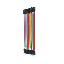 罗德力 公对母接排线端子 2.54mm (40p/排)10cm