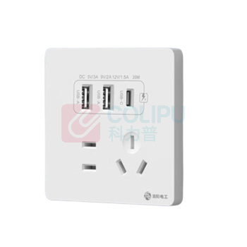 国际电工 插座 86型20W快充USB 五孔20W快充USB+typeC (白色)