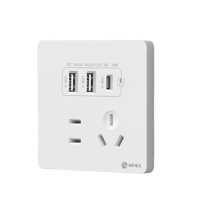 国际电工 插座 86型20W快充USB 五孔20W快充USB+typeC (白色)