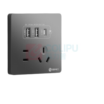 国际电工 插座 86型20W快充USB 五孔20W快充USB+typeC (白色)