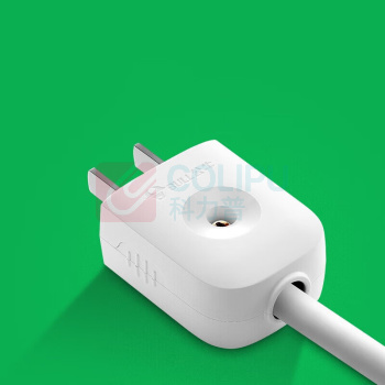 公牛(BULL) 电源插头 GNT-10L1S 1个/个 销售单位:个 (电源插头\250V 10A 单相2极) (计量单位:个)