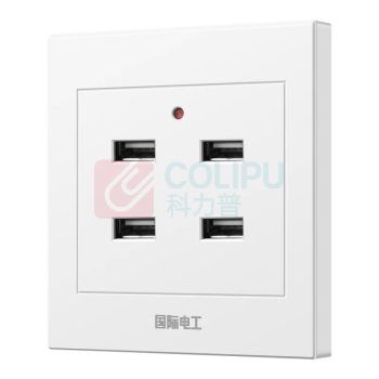 国际电工 工地插座USB插座工地宿舍家用手机充电插座面板 86型 220V/36V