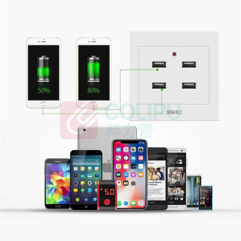 国际电工 工地插座USB插座工地宿舍家用手机充电插座面板 86型 220V/36V