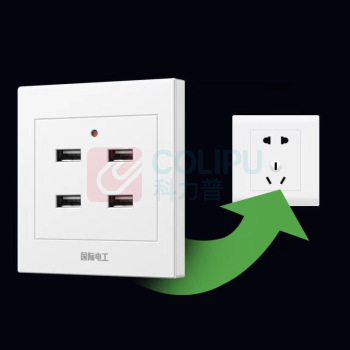 国际电工 工地插座USB插座工地宿舍家用手机充电插座面板 86型 220V/36V
