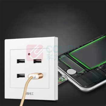 国际电工 工地插座USB插座工地宿舍家用手机充电插座面板 86型 220V/36V