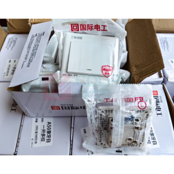 国际电工 开关暗装 1开单控
