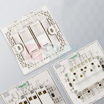 施耐德 Schneider 开关面板 C2E31EKT WG C1 皓朗系列 86型插卡取电开关 (格调金)