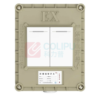 英鹏 开关 二开单控 220V10A,防爆等级ExIIBT6,220V