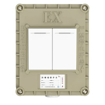 英鹏 开关 二开单控 220V10A,防爆等级ExIIBT6,220V
