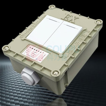英鹏 开关 二开单控 220V10A,防爆等级ExIIBT6,220V
