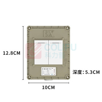 英鹏 开关 二开单控 220V10A,防爆等级ExIIBT6,220V