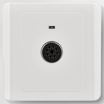 璐克斯 二线制声光控开关 200W二线制 (白色) 货期35天