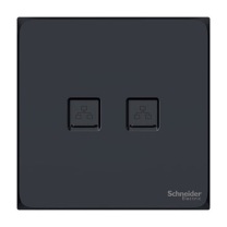 施耐德 Schneider 双口网络面板 AP-M-04-2A (曜石黑)