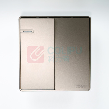 正泰(CHNT) 双联单控开关 NEW2-C00300二联单控开关16AX250V 1个/个 销售单位:个 (双联单控开关\250V 16A 暗装 86型) (计量单位:个)