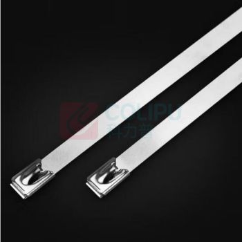 赫思迪格 自锁式304不锈钢扎带 JG-512 4.6*200mm