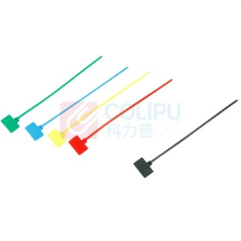 飞尔 尼龙新料 绿色+红色+黑色+黄色+蓝色 吊牌扎带 1×10×100mm 100根/包