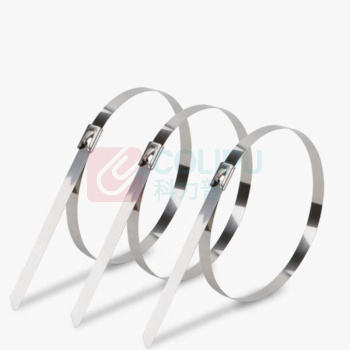 BECNKJ 扎带 4.6×300mm 不锈钢304 银白色 M00000 100根/包 100根起订